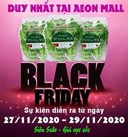 TƯNG BỪNG MÙA HỘI BLACK FRIDAY 2020