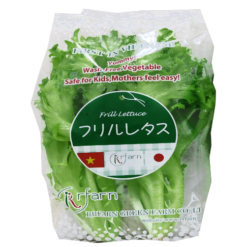 RAU DIẾP XOẮN (FRILL LETTUCE)