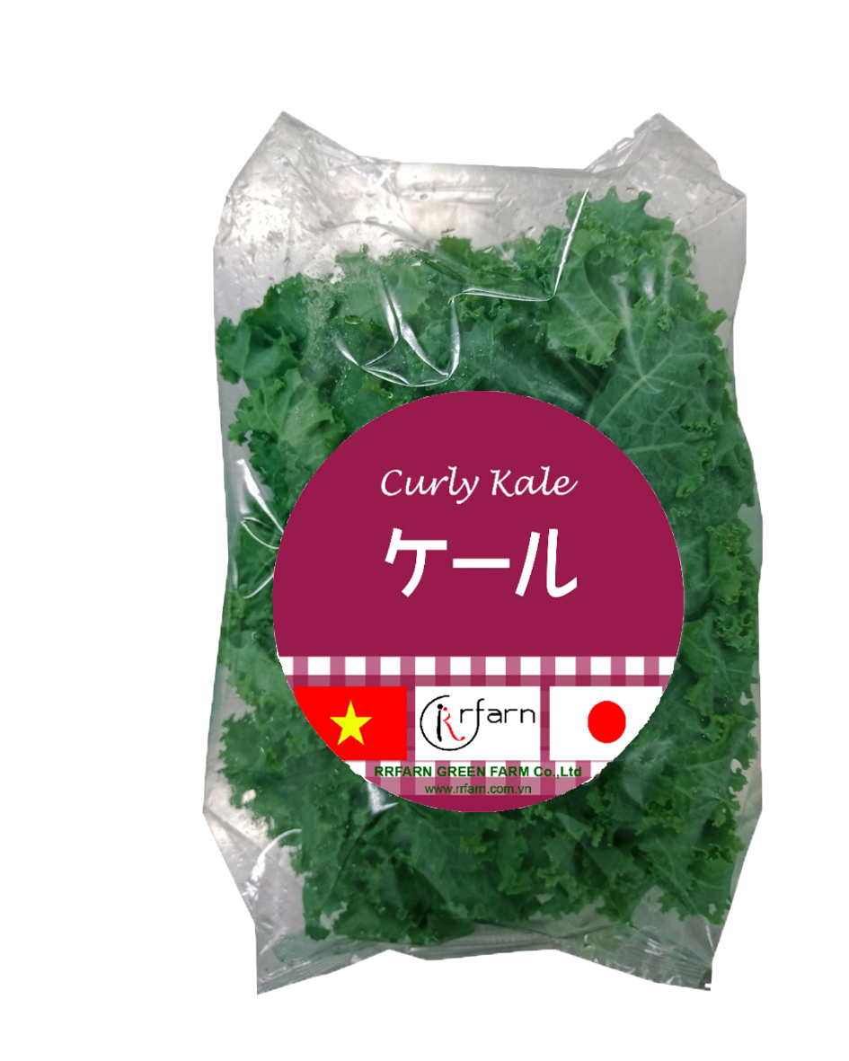 CẢI XOẮN KALE (CURLY KALE)