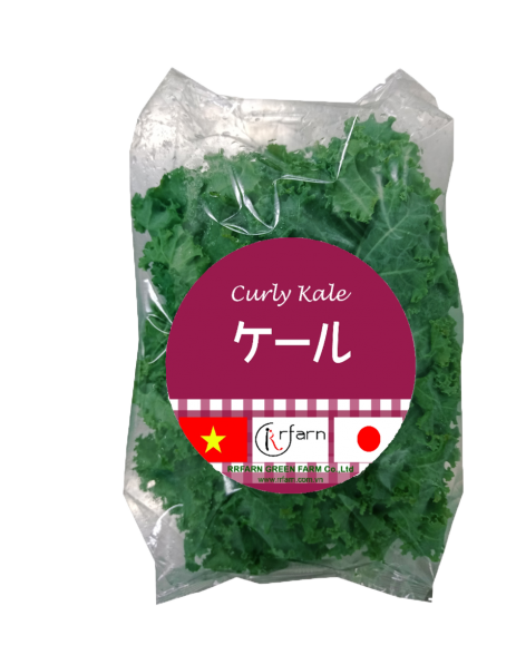 CẢI XOẮN KALE (CURLY KALE)