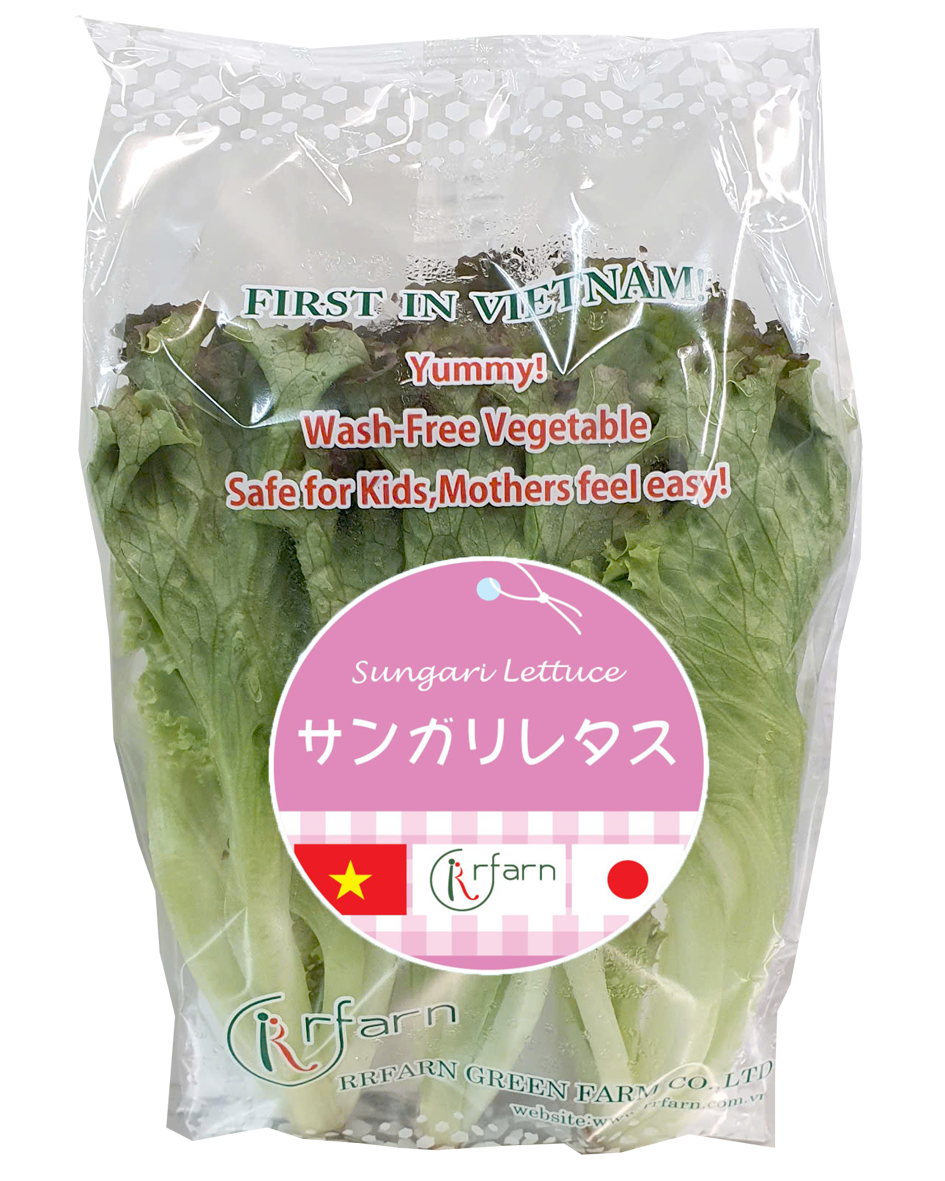 XÀ LÁCH THỦY TINH TÍM (SUNGARI LETTUCE)