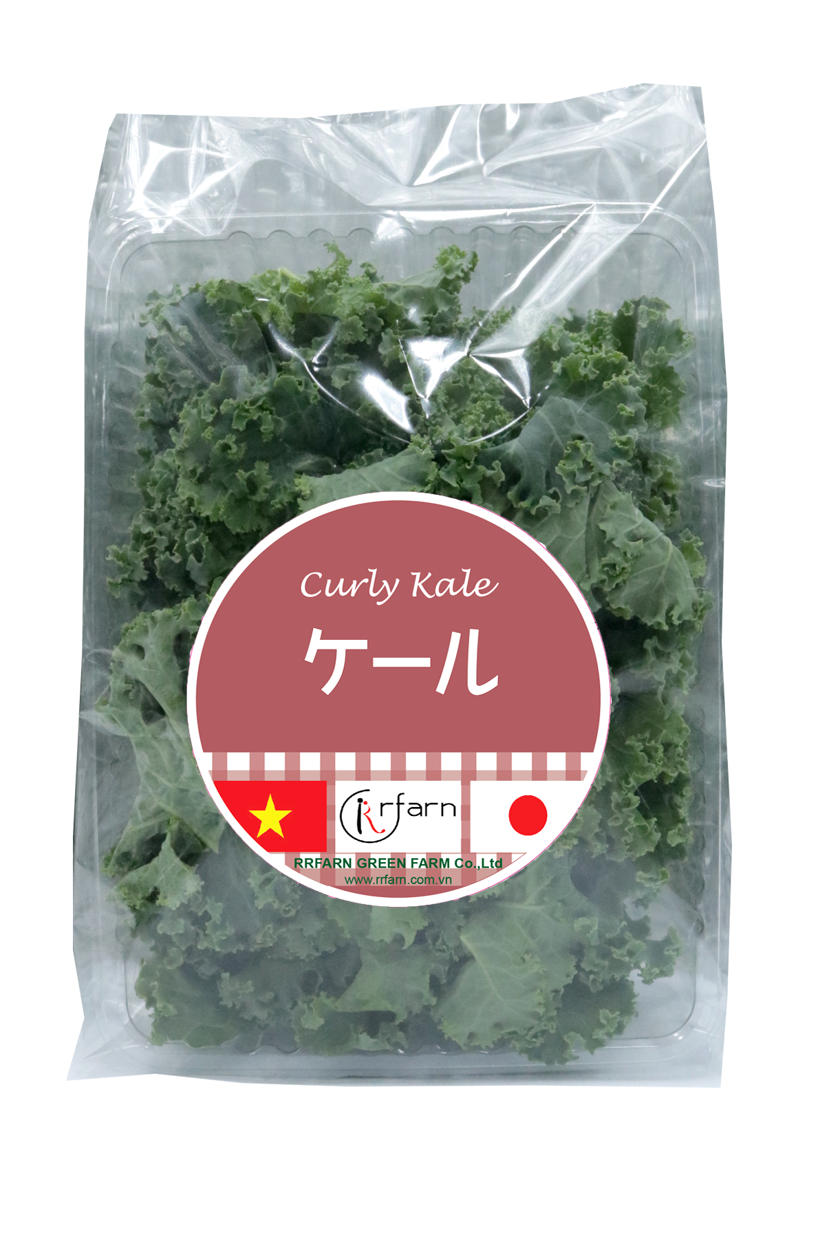 CẢI XOẮN KALE (CURLY KALE)