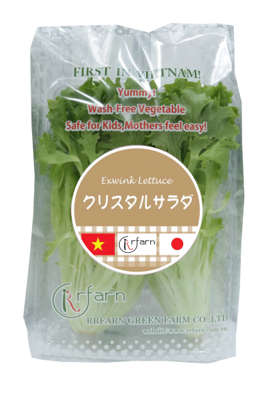 XÀ LÁCH THỦY TINH (EXWINK LETTUCE)