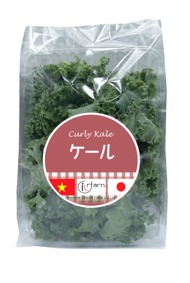 CẢI XOẮN KALE (CURLY KALE)