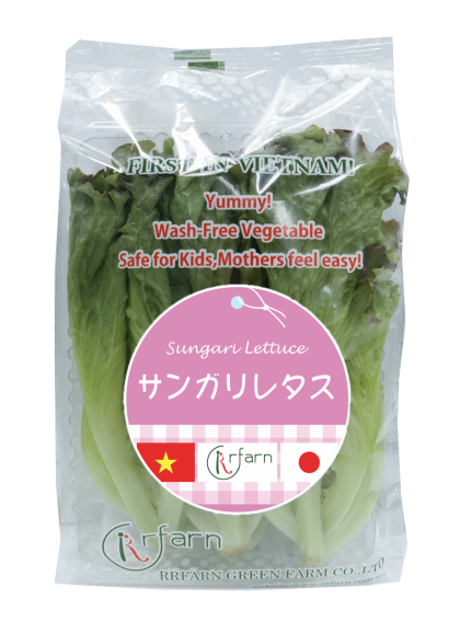 XÀ LÁCH THỦY TINH TÍM (SUNGARI LETTUCE)